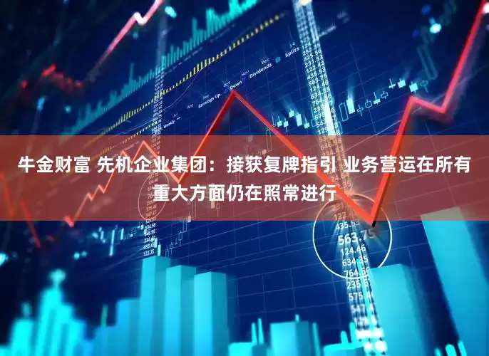 牛金财富 先机企业集团：接获复牌指引 业务营运在所有重大方面仍在照常进行