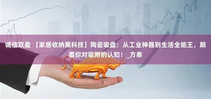 诚信双盈 【家居收纳黑科技】陶瓷吸盘：从工业神器到生活全能王，颠覆你对吸附的认知！_方泰